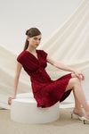 Emporio mini dress in maroon